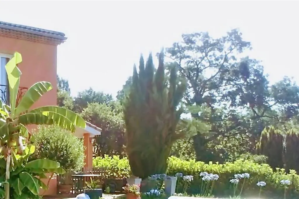 Studio Jasmin & Jardin 1 A 2 Pers A Villa Terra بالما شقة